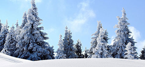 Exposition Flash automatique LumiÃ¨re naturelle Neige Pare-soleil ...