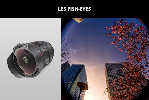 Different types of lenses - Fish-eye lenses
