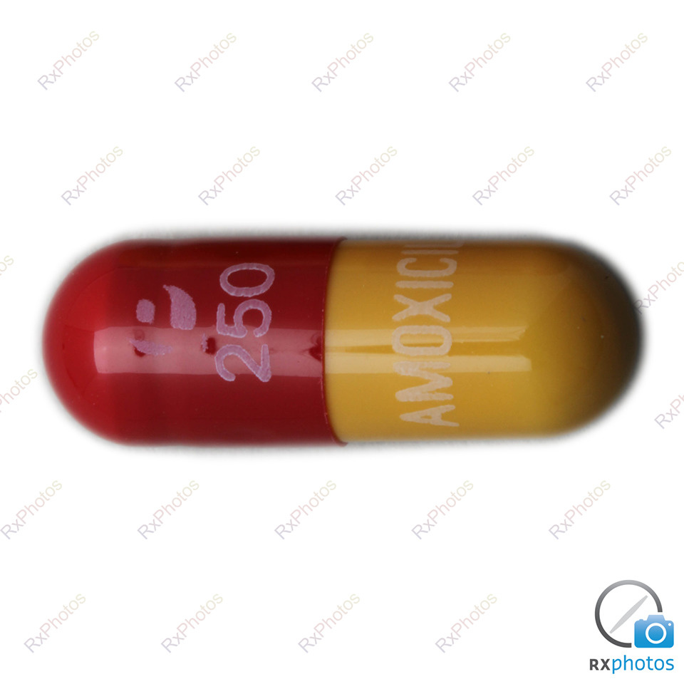Pms Amoxicillin capsule 250mg