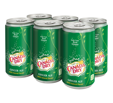 Ginger Ale, 6 X 222 ml