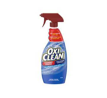 Laundry Pre-Treat Stain Remover Spray Bottle