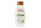 Thumbnail of product Aveeno - Oat Milk Blend Shampoo Daily Moisture, 354 ml, Oat Milk