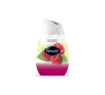 Adjustable Raspberry Gel Air Freshener, 198 g