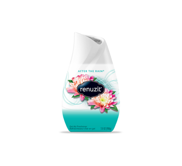 Image of product Renuzit - Adjustable After the Rain Gel Air Freshener, 198 g