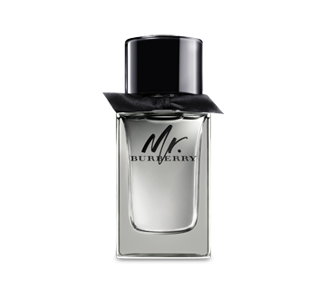 burberry mr. burberry eau de parfum 100 ml
