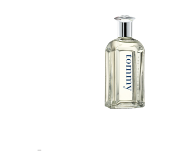 tommy hilfiger eau de toilette 100ml