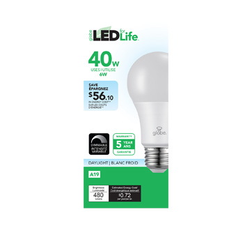 LED A19 40W, 1 unit