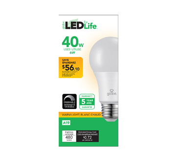 LED Bulb 40W A19, 1 unit, Warm Light