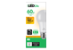 Thumbnail of product Globe Electric - LED Bulb 60W A19, 1 unit, Warm Light