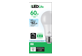 Thumbnail of product Globe Electric - LED Bulb 60W A19, 1 unit, Daylight