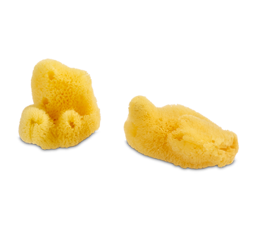 Image of product Personnelle Cosmetics - Sea Sponges, 2 units