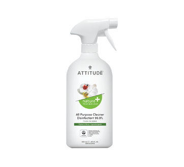 All Purpose Disinfectant, 800 ml