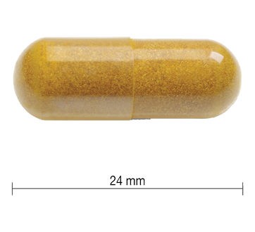 Image 2 of product Jamieson - Turmeric Curcumin 550 mg, 90 units