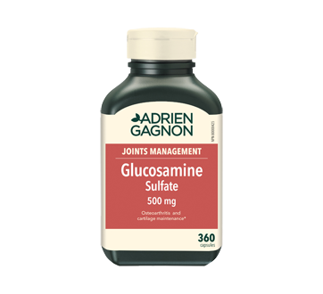 Image of product Adrien Gagnon - Glucosamine 500 mg, 360 units