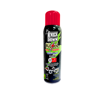Kilsol One Solution Insect Killer, 400 g