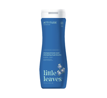 Little Leaves 2-in-1 Shampoo, Blueberry