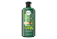Thumbnail of product Herbal Essences - Bio:Renew Frizz Control Shampoo, 400 ml, Potent Aloe + Hemp