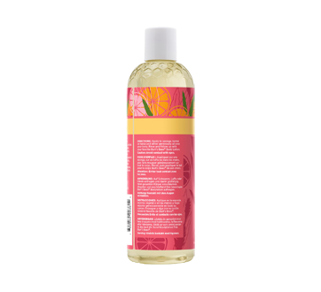 Image 2 of product Burt's Bees - Body Wash, 354.8 ml, Citrus & Ginger