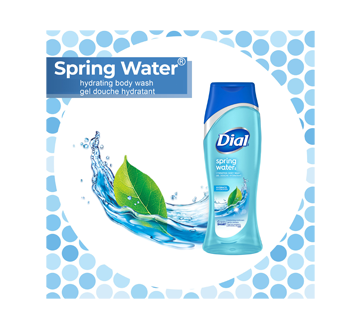 Image 2 of product Dial - All Day Freshness Body Wash Spring Water, 473 ml