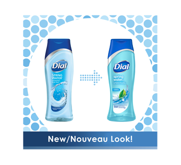 Image 3 of product Dial - All Day Freshness Body Wash Spring Water, 473 ml