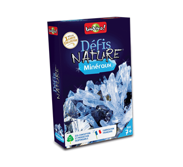 Défis Nature Minéraux, 1 unit