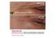 Thumbnail 6 of product Clarins - Total Eye Lift, 15 ml