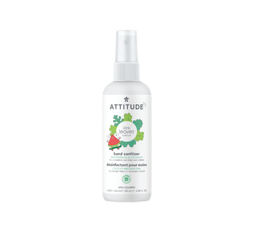 Little Leaves Hand Sanitizer, Watermelon & Coco