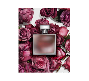 romance parfum