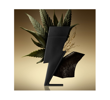 Image 2 of product Carolina Herrera - Bad Boy Le Parfum, 50 ml