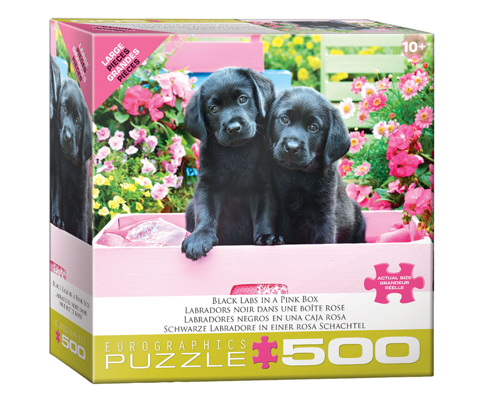 Puzzle 500 Pieces, Black Labs in a Pink Box, 1 unit Eurographics