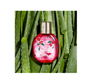 Image 4 of product Clarins - Fix' Make-Up Camellia Collection, 50 ml