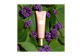 Thumbnail 6 of product Clarins - SOS Primer Minimizes signs of fatigue, 30 ml, Pink