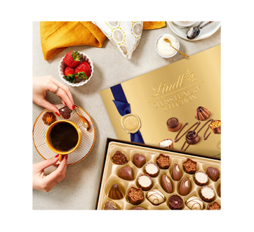 Swiss Luxury Selection assortiment de pralinés au chocolat, 193 g
