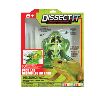 Synthetic Dissection Kit, 1 unit, Frog Lab – Red Planet Group