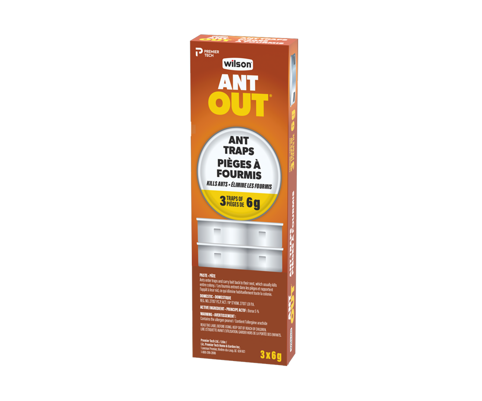 Ant Out Ant Traps, 3 units Wilson Insecticide Jean Coutu