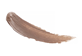 Vignette 3 du produit L'Oréal Paris - Unbelievabrow gel à sourcils longue tenue hydrofuge, 4,5 ml brunette claire 565
