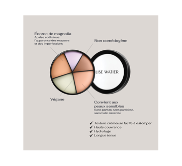 Image 9 du produit Watier - Portfolio correcteurs professionnels 4 en 1, 20 g foncés