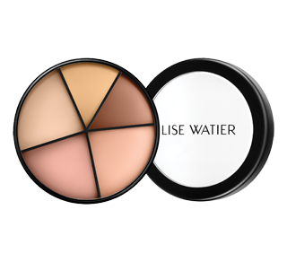 Portfolio Professional Correctors 4-in-1, 20 g