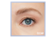 Thumbnail 8 of product Maybelline New York - Tattoo Studio Brow Lift Stick Smudge-Resistant, 1.1 g Soft Brown