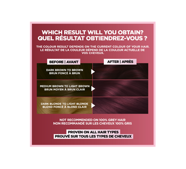 Image 7 of product Garnier - Nutrisse Permanent Hair Colour enriched with Avocado Oil, 1 unit 362 Burgundy Garnet