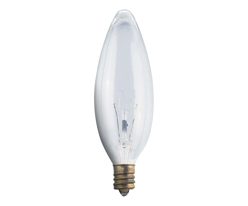 Ampoule 60 W, 2 unités, clair Globe Electric Ampoule électrique