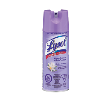 Désinfectant aérosol, 350 g, brume matinale