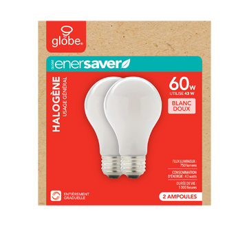Globe ampoule DEL 60W A19, 4 unités, blanc froid – Globe Electric