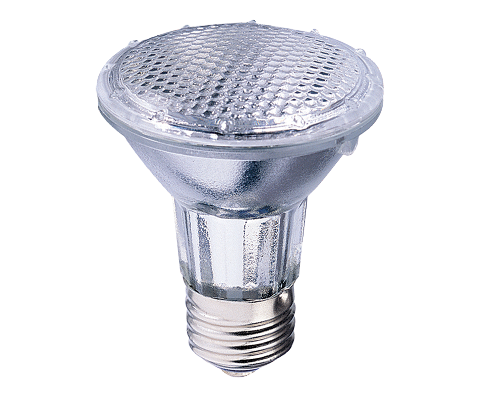 Ampoule, 2 unités, clair Globe Electric Ampoule électrique Jean Coutu