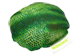 Vignette du produit manimo - Balle pleine lune, 1 unité, vert
