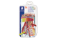 Vignette du produit Staedtler - Crayons de couleur, 36 unités