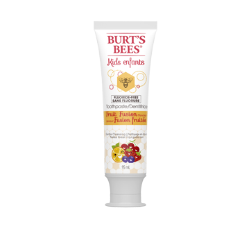 Dentifrice Sans Fluorure 95 Ml Saveur Fusion Fruitee Burt S Bees Pate A Dents Jean Coutu