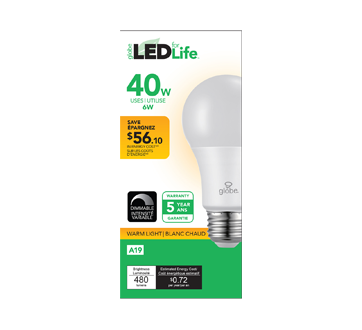 Globe ampoule DEL 40W A19, 1 unité, blanc chaud