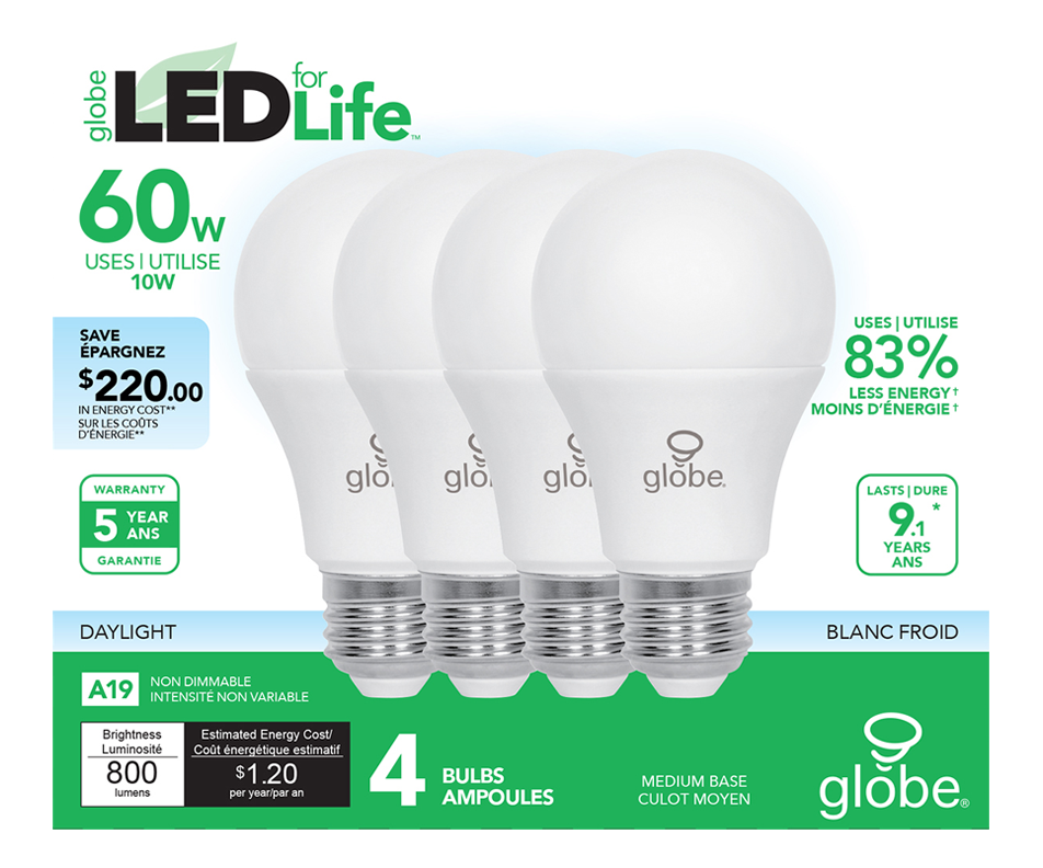 Globe ampoule DEL 60W A19, 4 unités, blanc froid Globe Electric
