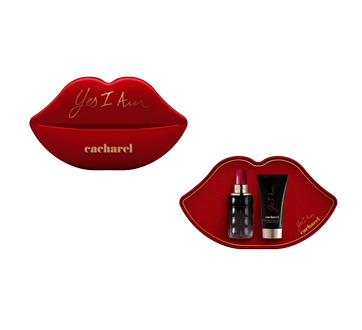 yes i am coffret